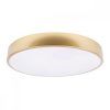 10228/A Потолочный светильник LOFT IT Flims