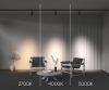 Трековый светильник Technical TR197-3-30WCCT-M-B