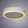 Потолочный светильник Arte Lamp ANTARES A7816PL-2WH