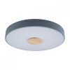 10003/24 Grey Потолочный светильник LOFT IT Axel