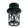 Уличный потолочный светильник Arte Lamp PERSIA A1453PF-1BG