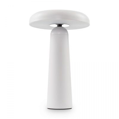 Аккумуляторный светильник Freya FR6109TL-L4W