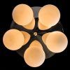 Потолочная люстра Arte Lamp AQUA A4445PL-5CC