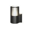 Светильник настенный Denkirs FARSUN DK9722-BK