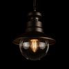 100022P Уличный подвесной светильник LOFT IT Piemonte