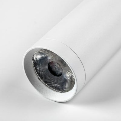Светильник трековый SMART APP Teta Lightstar 205406