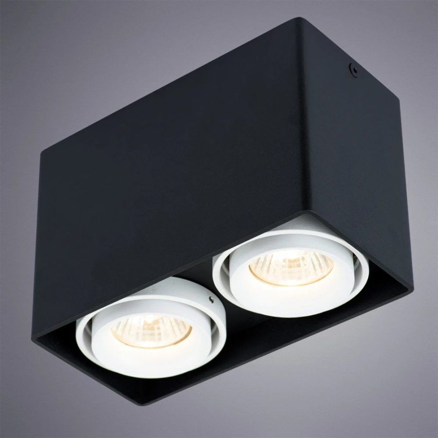 Точечный накладной светильник Arte Lamp PICTOR A5655PL-2BK