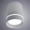 Точечный накладной светильник Arte Lamp ELLE A1909PL-1GY