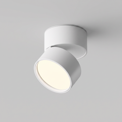 Потолочный светильник Technical C024CL-12W4K-W-1