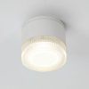 Уличный потолочный светильник Arte Lamp PIAUTOS A1926PF-1WH