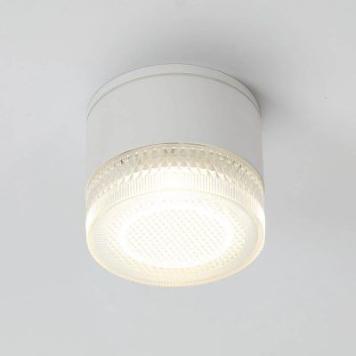 Уличный потолочный светильник Arte Lamp PIAUTOS A1926PF-1WH