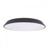 10226 Black Потолочный светильник LOFT IT Brim