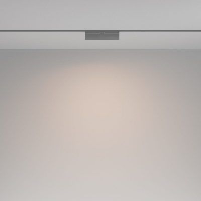 Трековый светильник Technical TR036-2-12W4K-B