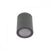 10344 Black Накладной светильник LOFT IT Rush