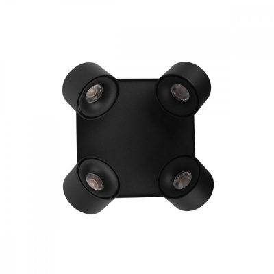 10326 Black Накладной светильник LOFT IT Case