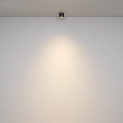 Потолочный светильник Technical C095CL-GX53-B