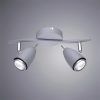 Спот Arte Lamp REGISTA A1966AP-2GY