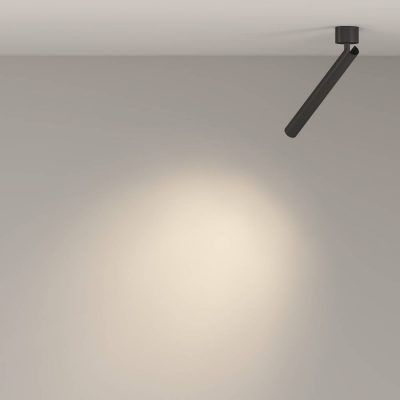 Потолочный светильник Technical C141CL-L300-6W3K-B