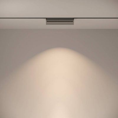 Трековый светильник Technical TR013-2-20W4K-B