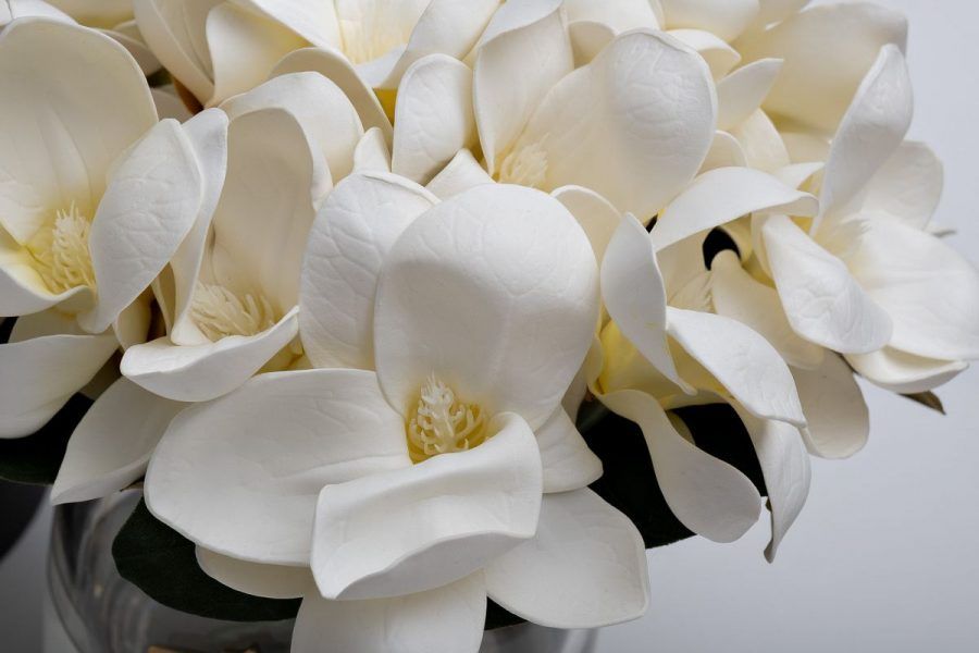 96CN-RG0005 Диффузор Белая магнолия (Magnolia white), спрей Зима (Winter in Chateau) 2*10 ml упак.