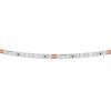 Лента цветного свечения 24V Lightstar Lightstar 420511