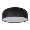 10201/480 Black Потолочный светильник LOFT IT Axel
