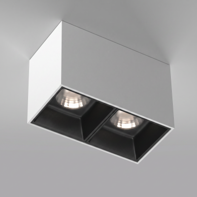Потолочный светильник Technical C065CL-02-L12W4K-W