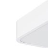 Потолочный светильник Arte Lamp SCENA A2662PL-1WH