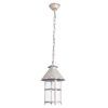 Уличный подвесной светильник Arte Lamp PRAGUE A1465SO-1WG