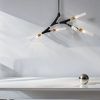 Потолочный светильник Freya FR5213PL-05B