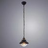 Подвесной светильник Arte Lamp GRAZIOSO A4577SP-1CK