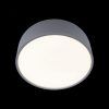 10201/350 Grey Потолочный светильник LOFT IT Axel