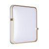 Настенно-потолочный светильник Sonex Olidi White 7680/EL