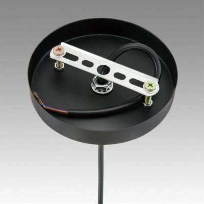 Светильник подвесной Lumion Elenika 8056/1A