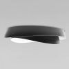 10256 Black Потолочный светильник LOFT IT Petale