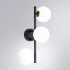 Настенно-потолочный светильник Arte Lamp GEMINI A2243PL-3BK