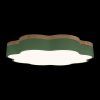 10225/36 Green Потолочный светильник LOFT IT Axel