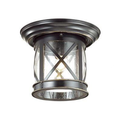 Уличный потолочный светильник Odeon Light Sation 4045/1C