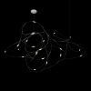10309/21 CR Подвесной светильник LOFT IT Flock of Light