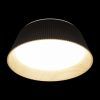 10224 Black Потолочный светильник LOFT IT Evans