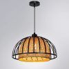 Подвесной светильник Arte Lamp WOODSTOCK A7071SP-1BK
