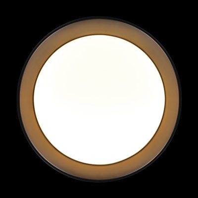 10202 BB  Потолочный светильник  LOFT IT Coin