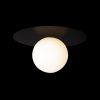 10120/250C Black Потолочный светильник LOFT IT Ufo