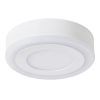 Потолочный светильник Arte Lamp ANTARES A7806PL-2WH