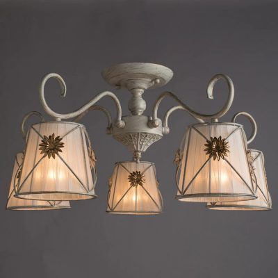 Потолочная люстра Arte Lamp FORTUNA A5495PL-5WG