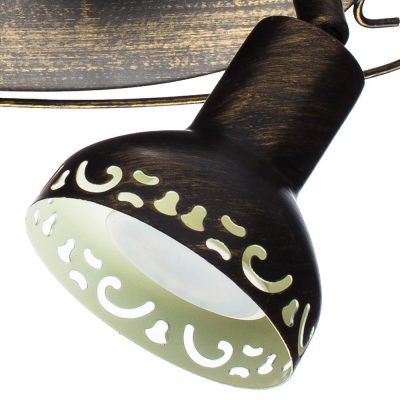 Спот Arte Lamp FOCUS A5219AP-2BR