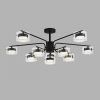 Светильник потолочный Lumion Natalina 8349/10C