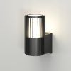 Светильник настенный Denkirs FARSUN DK9722-BK