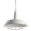 Подвесной светильник Arte Lamp PANDORA A9183SP-1WG
