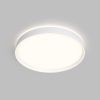 Накладной светильник Denkirs PLATO DK6511-WH